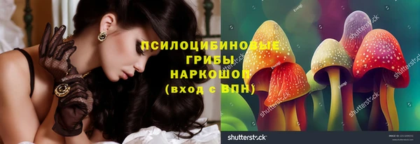 хмурый Алексин