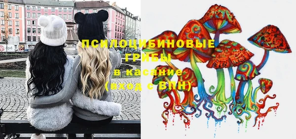 хмурый Алексин