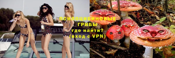 PSILOCYBIN Алексеевка