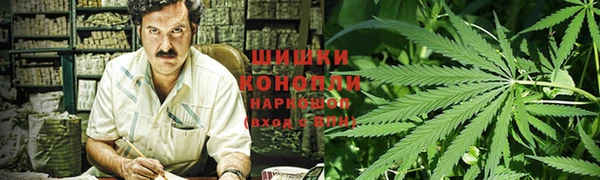 PSILOCYBIN Алексеевка