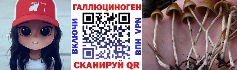 Псилоцибиновые грибы мицелий  Йошкар-Ола 