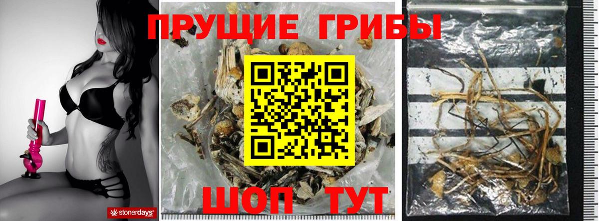 Псилоцибиновые грибы прущие грибы Йошкар-Ола